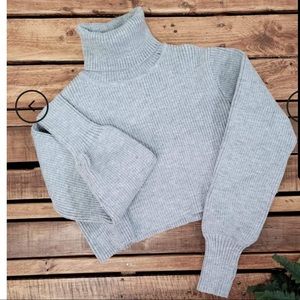 Cropped turtleneck sweater (NWOT)